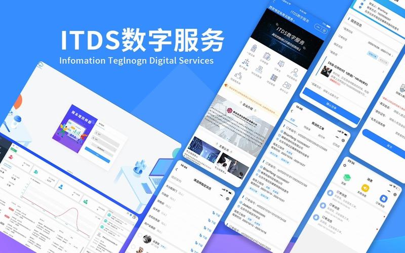itds数字服务